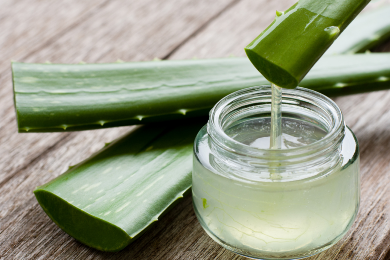 Aloe Vera